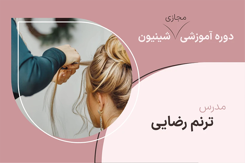 کاور دوره مجازی شنیون