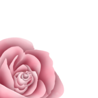 —Pngtree—boho flower clipart watercolor roses_7261672 5